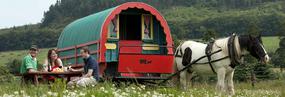 See Offers with getlocal.ie at Clissmann Horse Caravans, Rathdrum