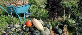 See Offers with getlocal.ie at Fruit Hill Farm, Bantry