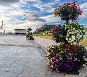 See Offers with getlocal.ie at Grange Growers Garden Centre, Dublin