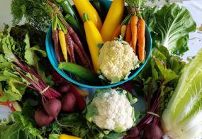 See Offers with getlocal.ie at Irish Seed Savers Association, Scarriff