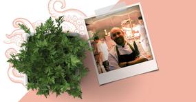 See Offers with getlocal.ie at La Côte Seafood Restaurant, Wexford