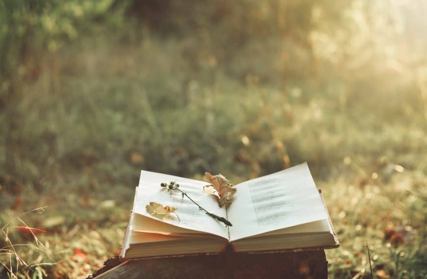 Discovering Irish Poetry