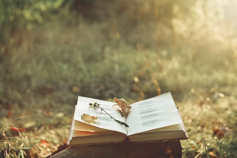 Discovering Irish Poetry