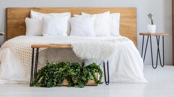 Diving Deep into King-Size Beds