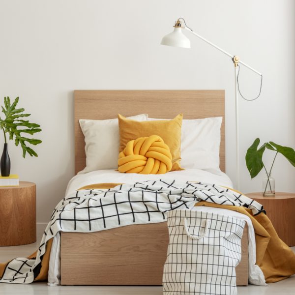 Everything You Always Wanted to Know About Single Beds* (*But Were Afraid to Ask)