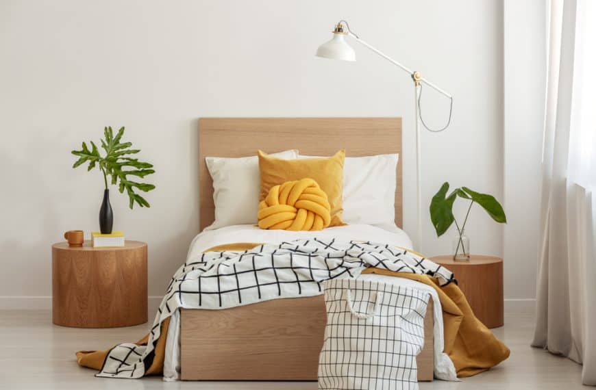 Everything You Always Wanted to Know About Single Beds* (*But Were…
