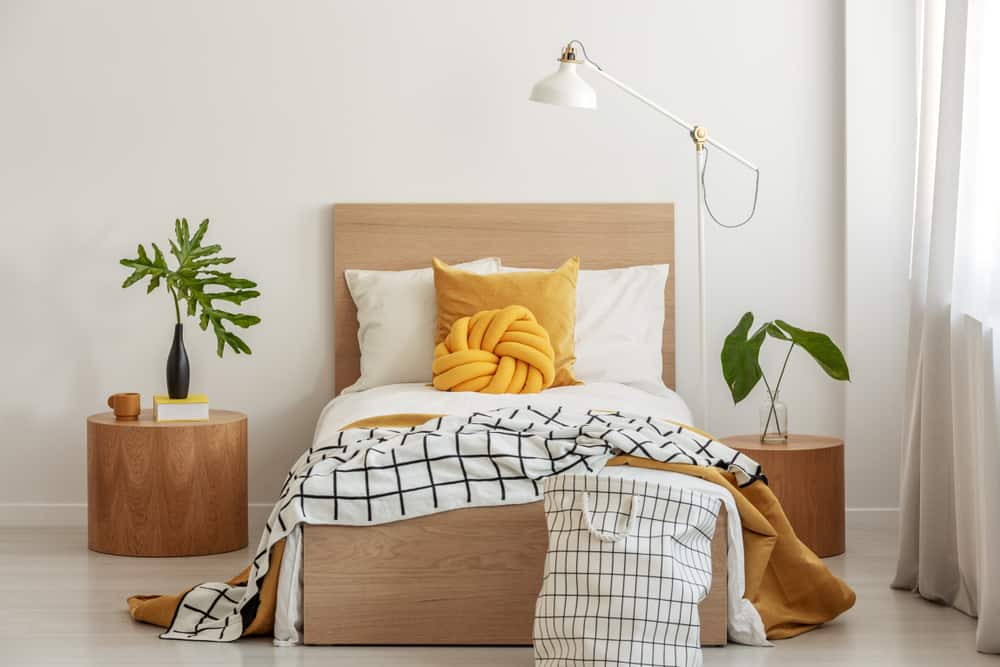 Everything You Always Wanted to Know About Single Beds* (*But Were Afraid to Ask)