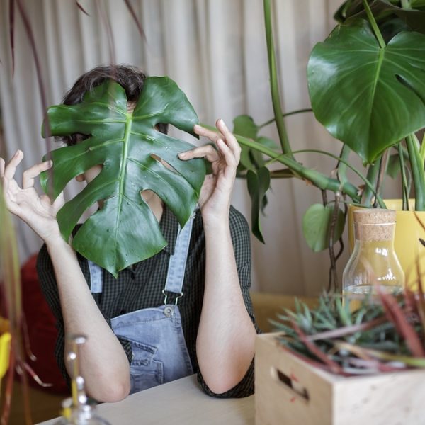 Gifts Under €50 for the Plant Parent
