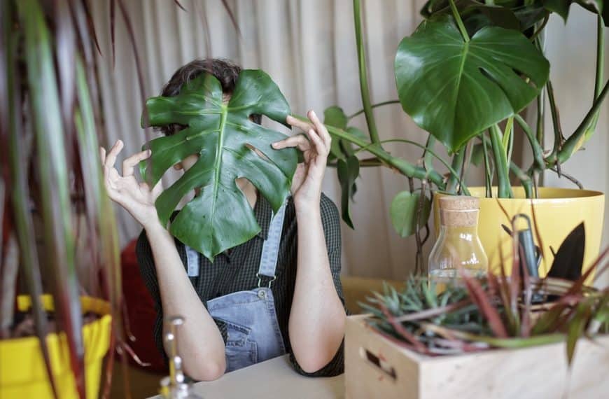 Gifts Under €50 for the Plant Parent
