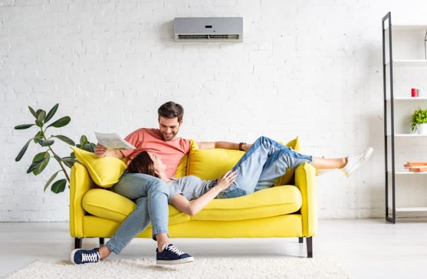 Apartment-Approved Gift Ideas