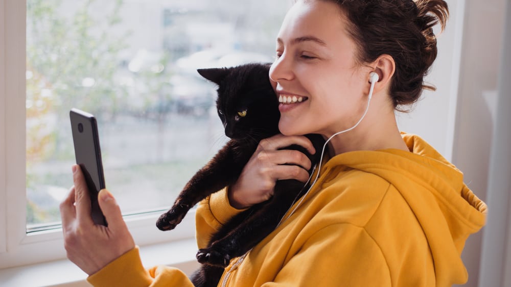 Gifts Under €25 for Cat Parents