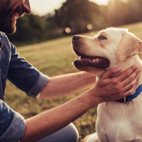 Gifts Under €25 for Dog Parents