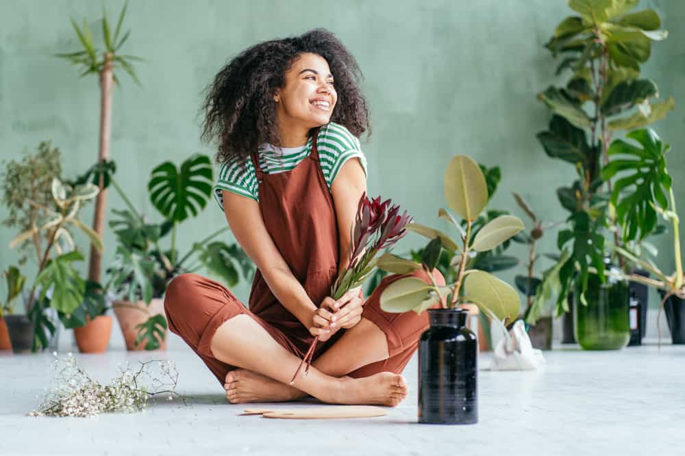 Must-Haves for the New Plant Parent