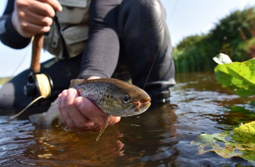Beginner’s Guide To Fishing Equipment