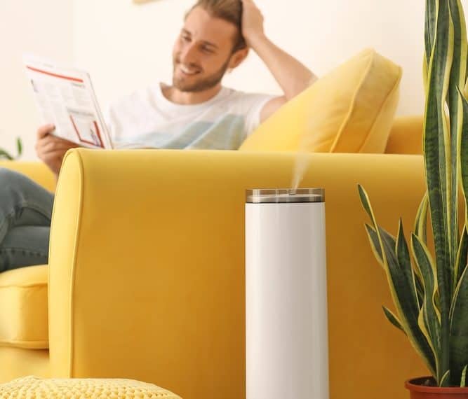 Air Purifiers, Dehumidifiers, and Humidifiers: Improving the Air Quality in Your Home