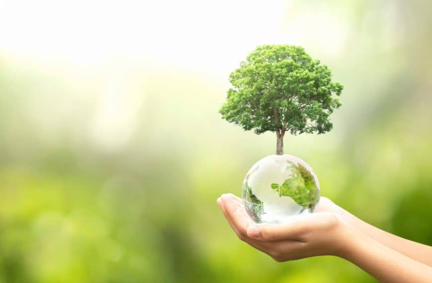 Eco-Friendly Ways To Celebrate Earth Day