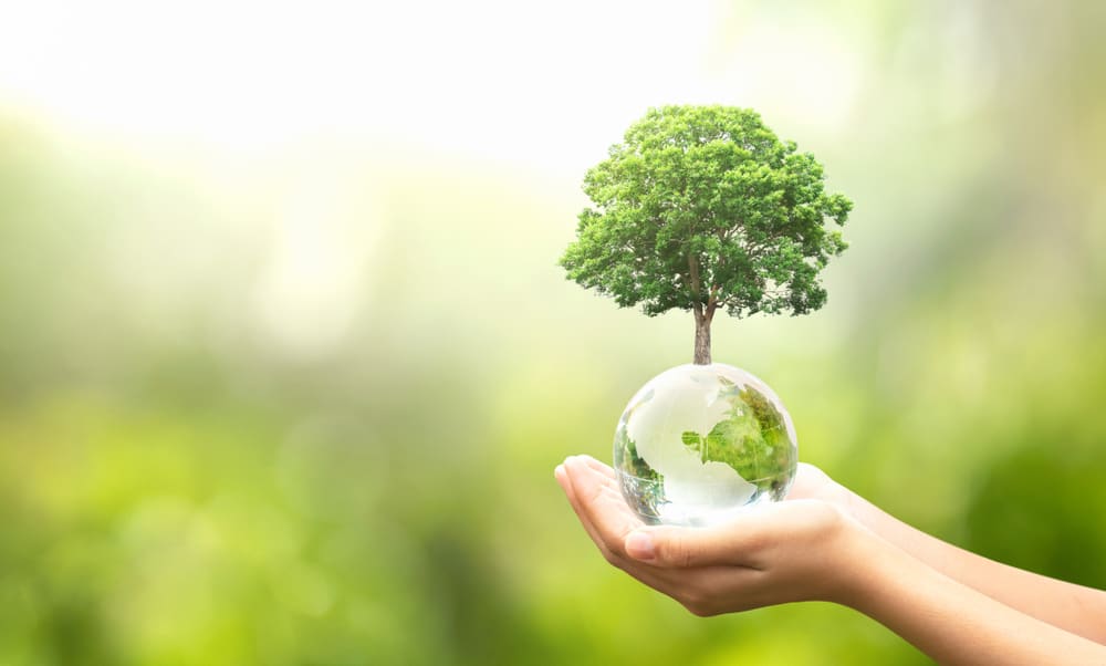 Earth Day, Ireland