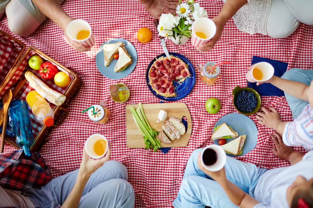 The Ultimate Guide To Picnic Essentials