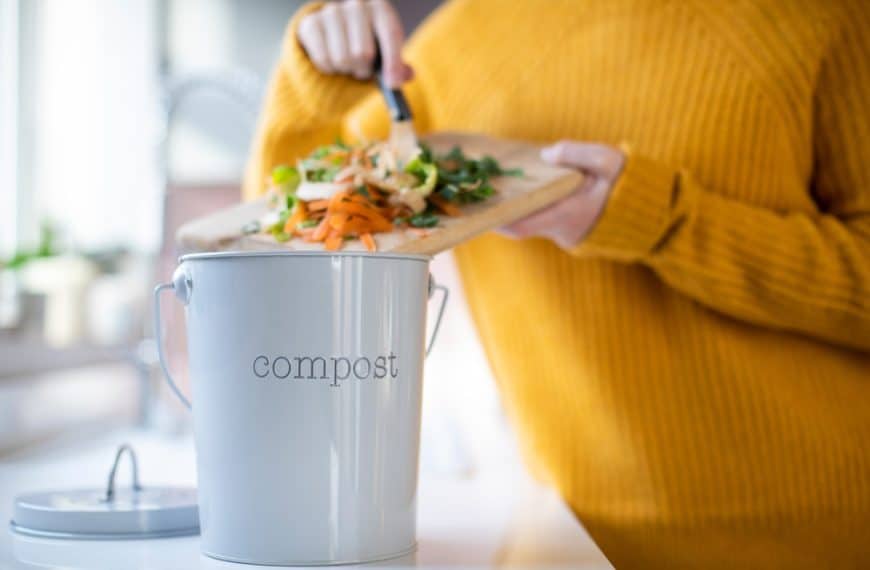 Beginner’s Guide To Composting