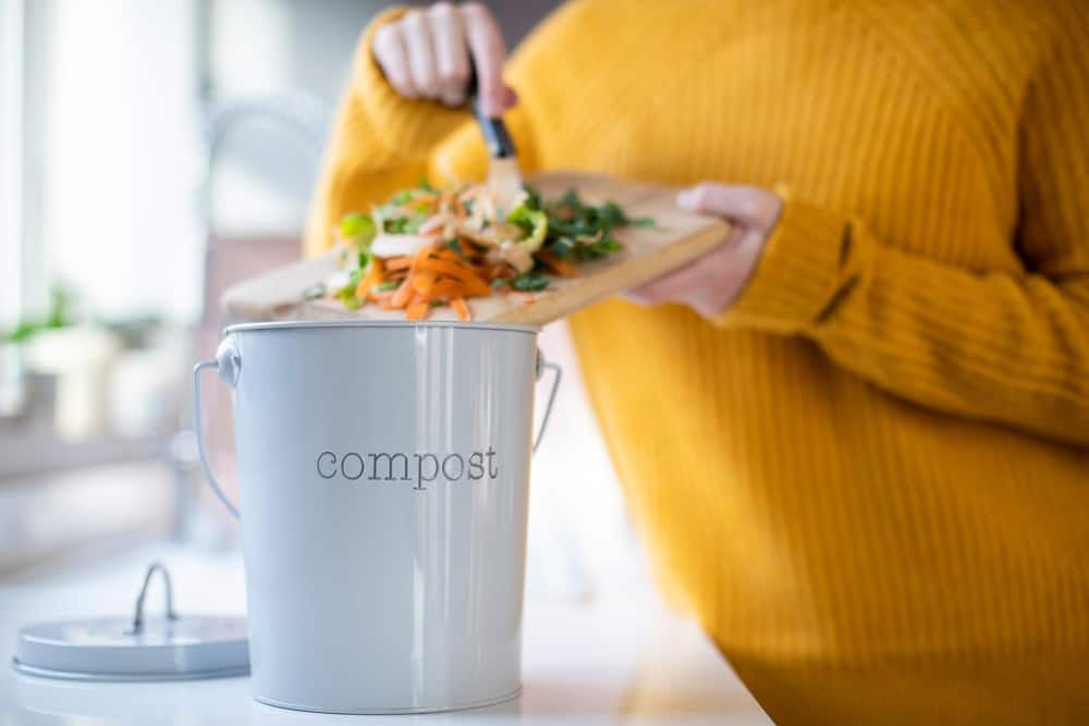 compost, ireland
