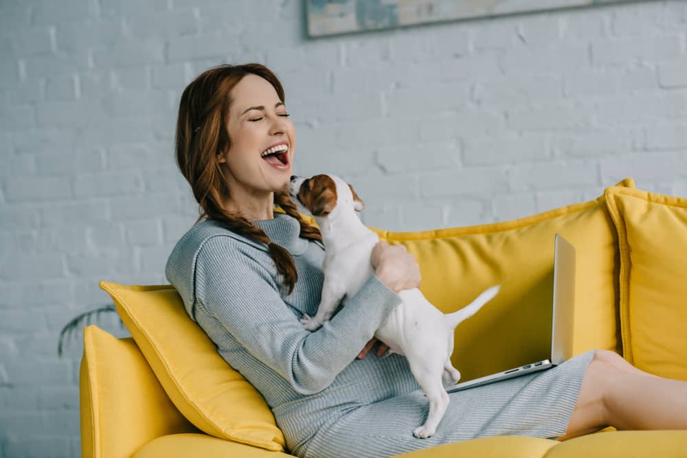 pet friendly, ireland