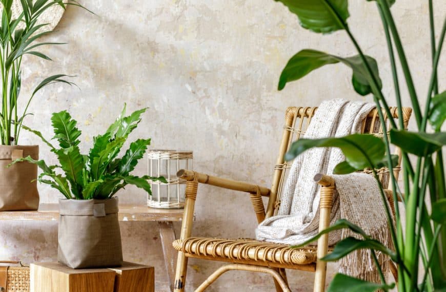 Sunny Delights: Add A Pop Of Colour To Your Space With Summer-Inspired Accents
