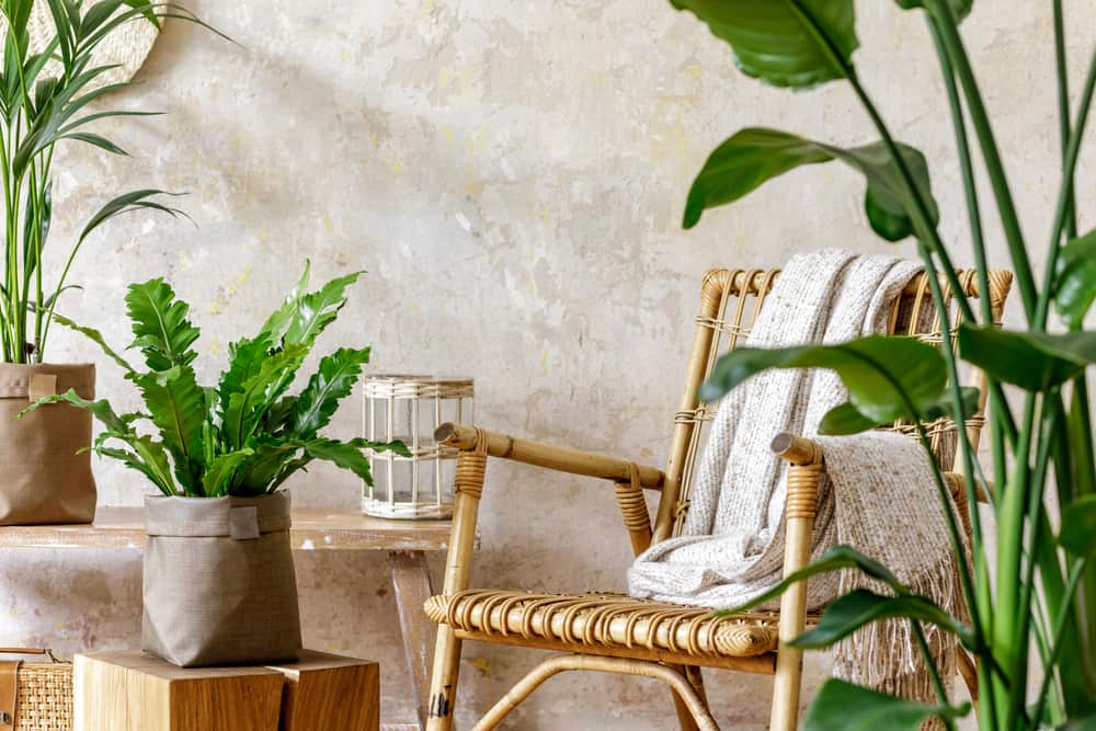 Sunny Delights: Add A Pop Of Colour To Your Space With Summer-Inspired Accents